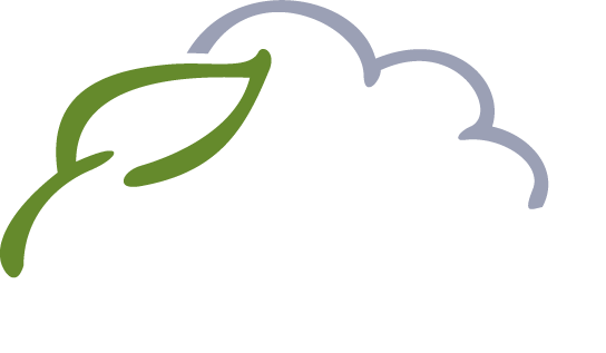 WeForest: Sustainable Reforestation Solutions